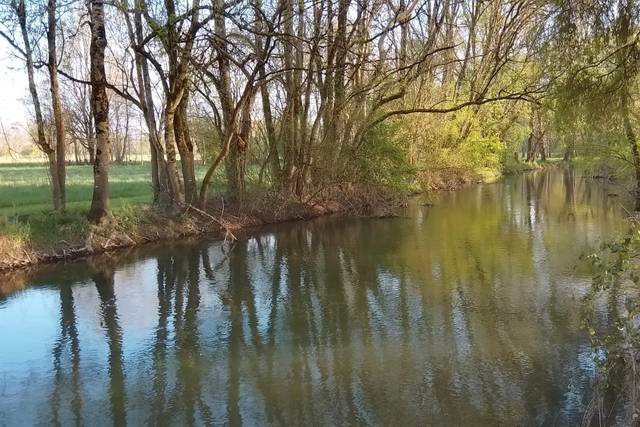 Parc en bord de rivière