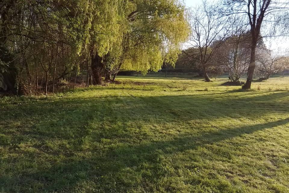 Le parc se réveille