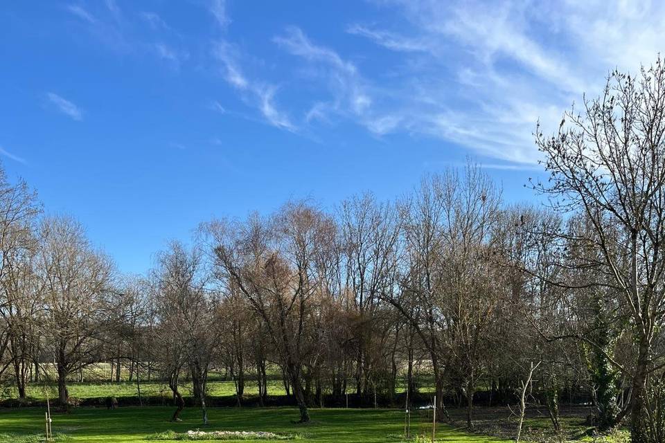 Vue vers la rivière