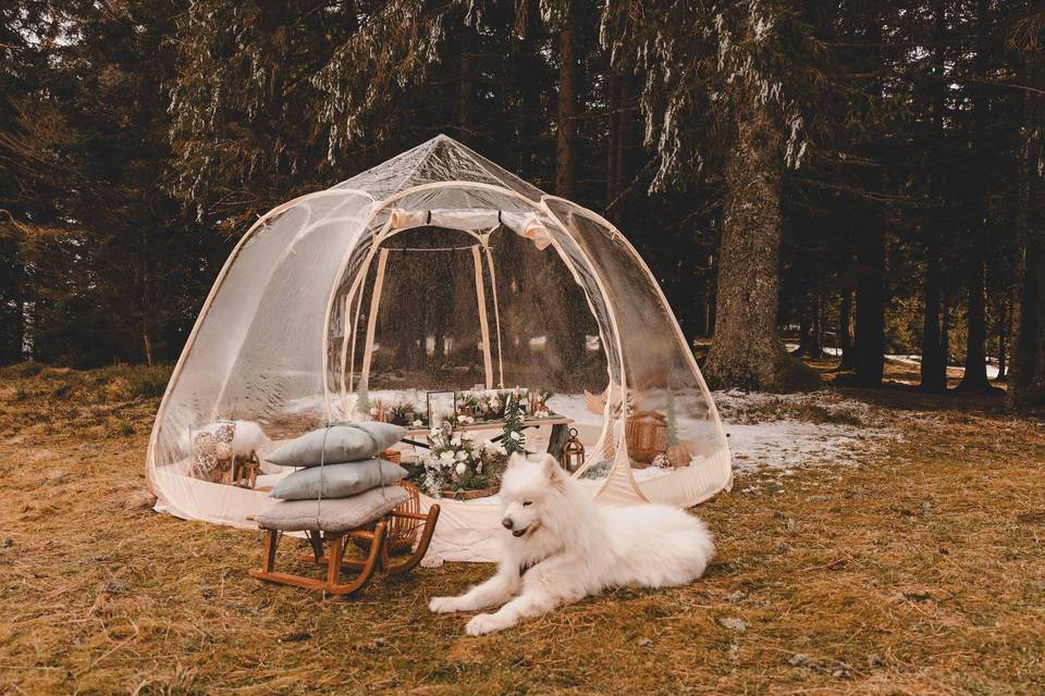 Mariage Hiver sous la neige