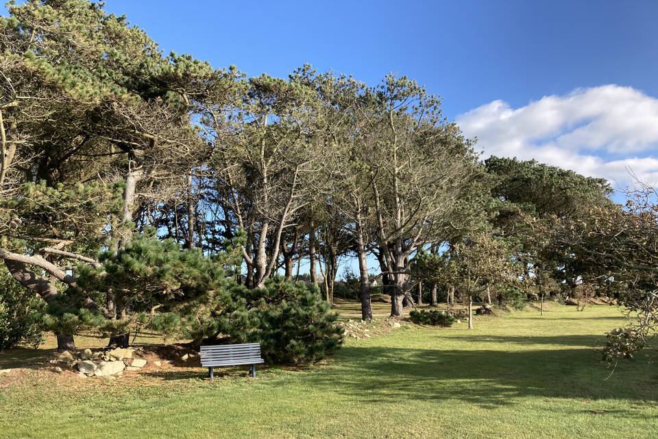 Le jardin