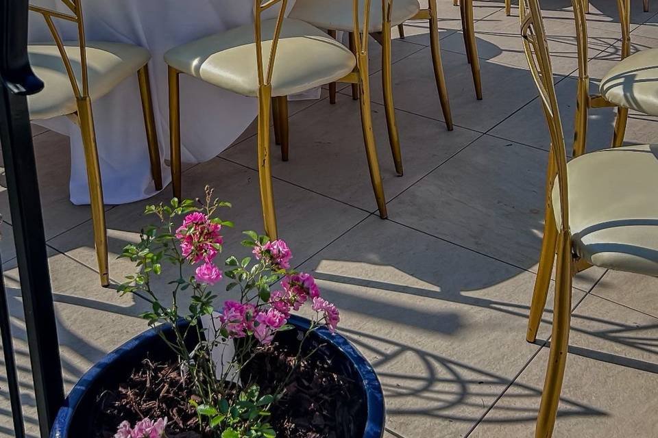 Repas extérieur