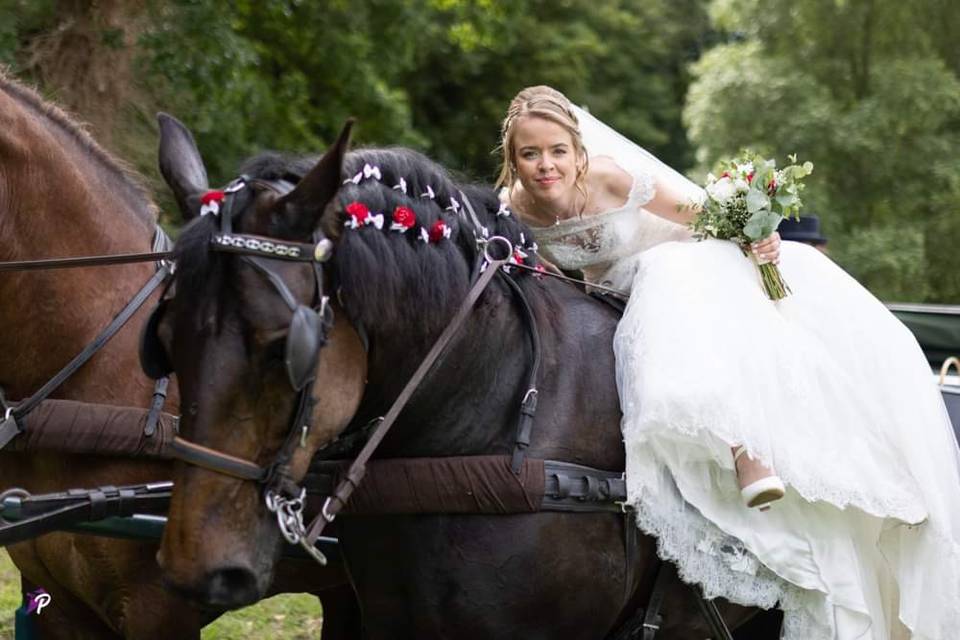 Mariage à cheval