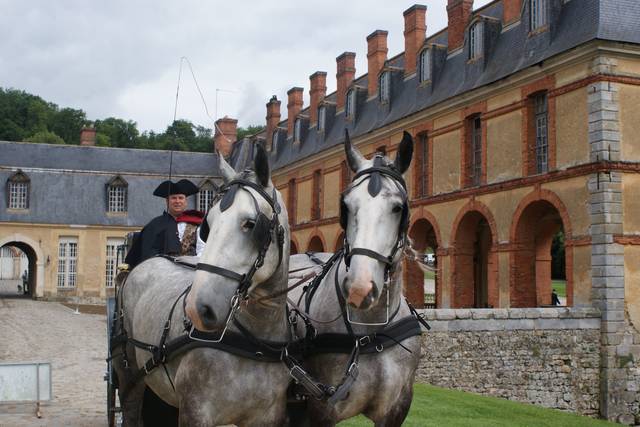 Le cocher et ses chevaux
