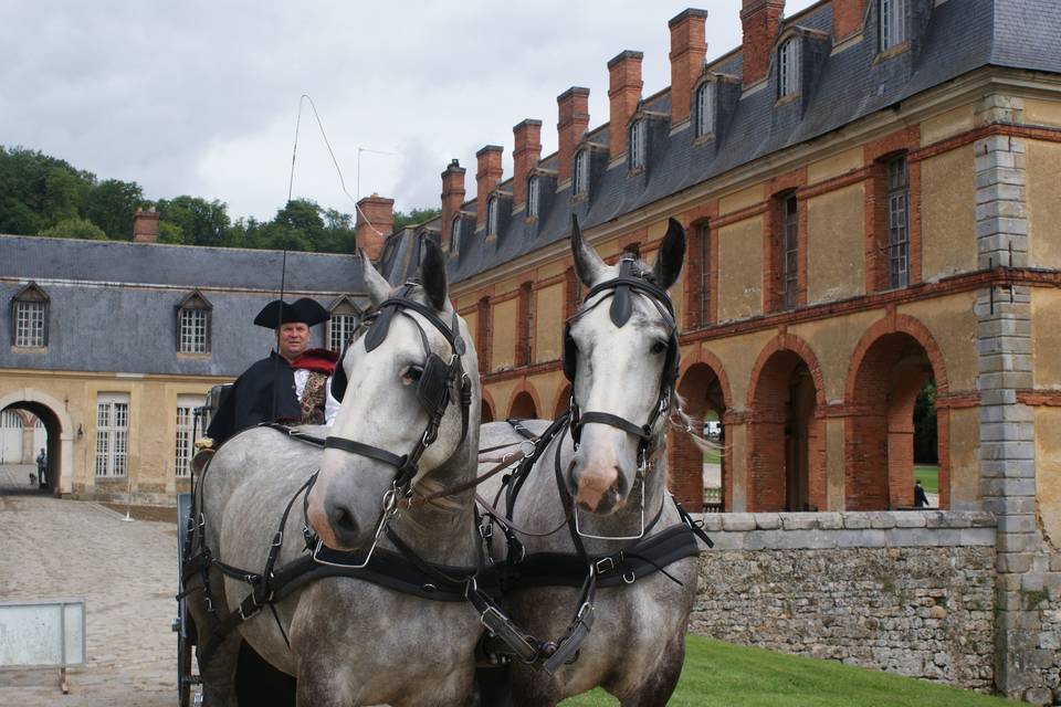 Le cocher et ses chevaux