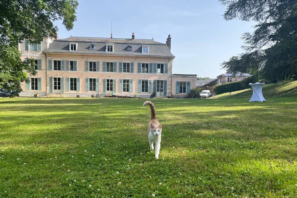 Pelouse sur l'arrière