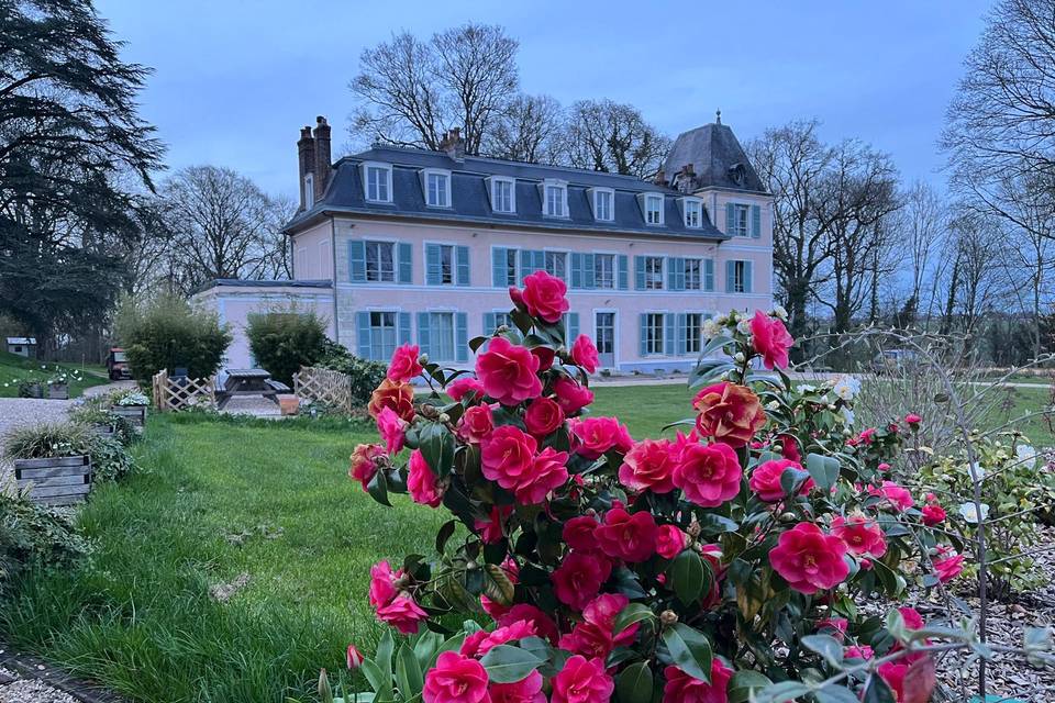 Les massifs de rose