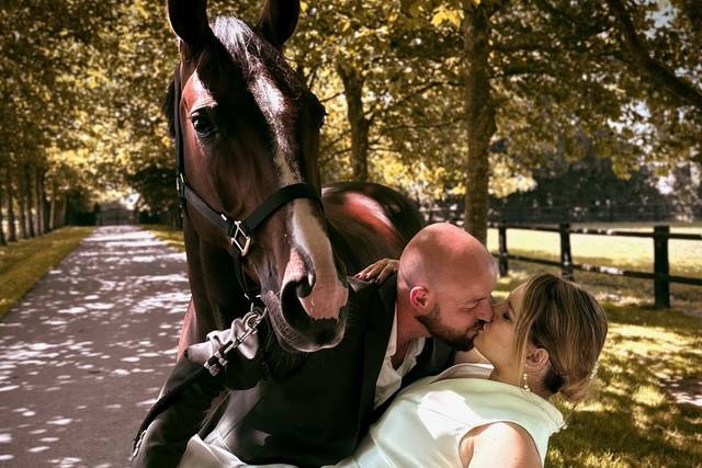 Mariage - Haras