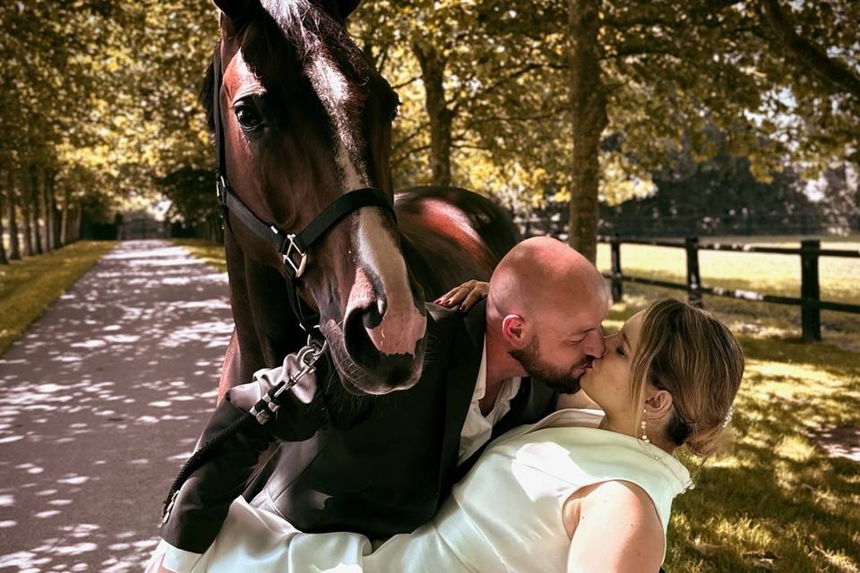 Mariage - Haras