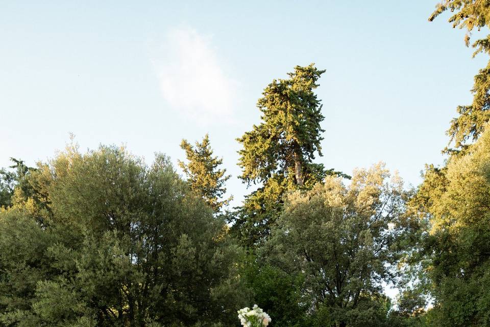Mariage de C&F