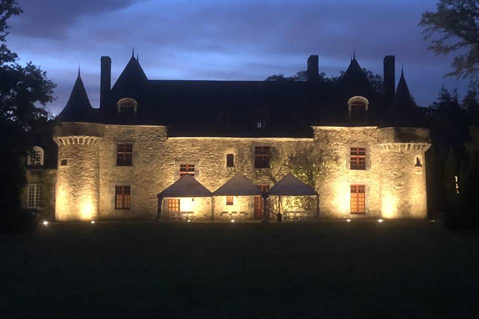 Vue Chateau nuit