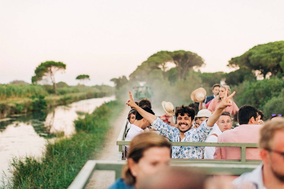 Mariage en Camargue