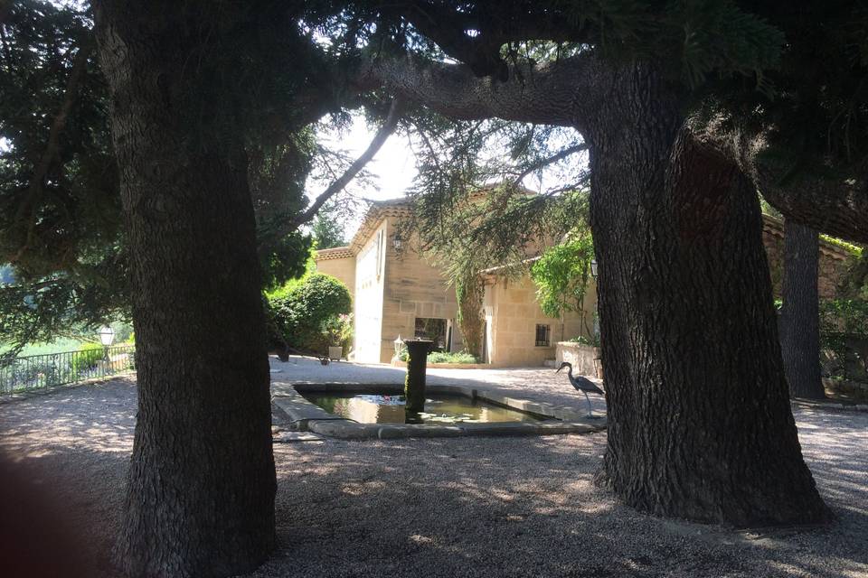 Fontaine sous les cédres