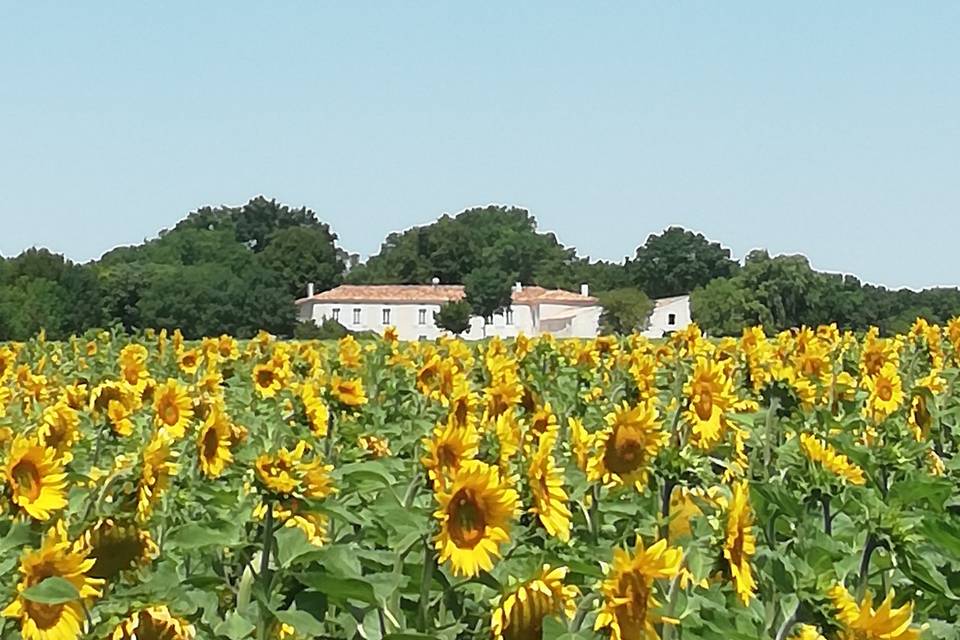 Le Logis de la Grosse Pierre