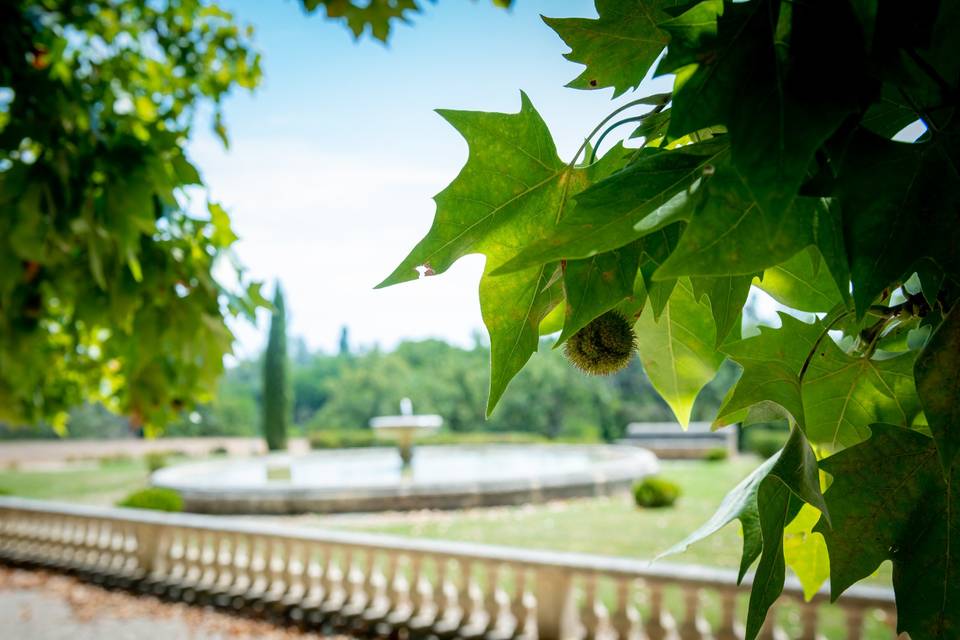 Jardin à la française