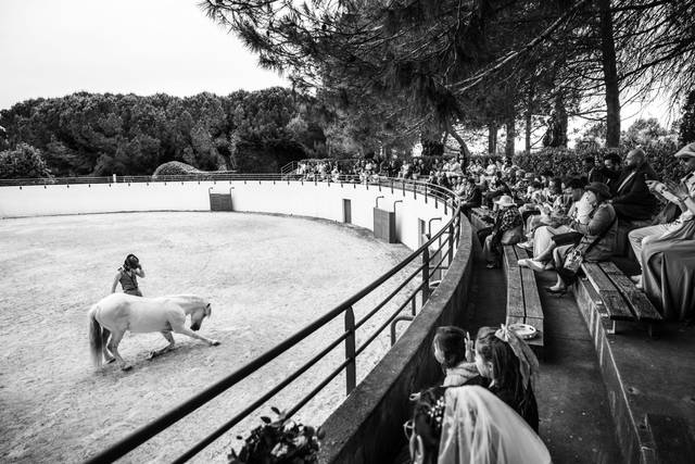 Spectacle Équestre