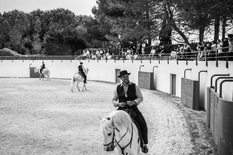 Spectacle Équestre