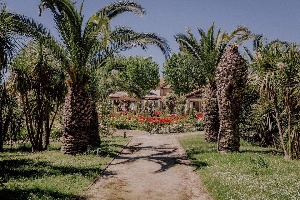 Patio de la fontaine