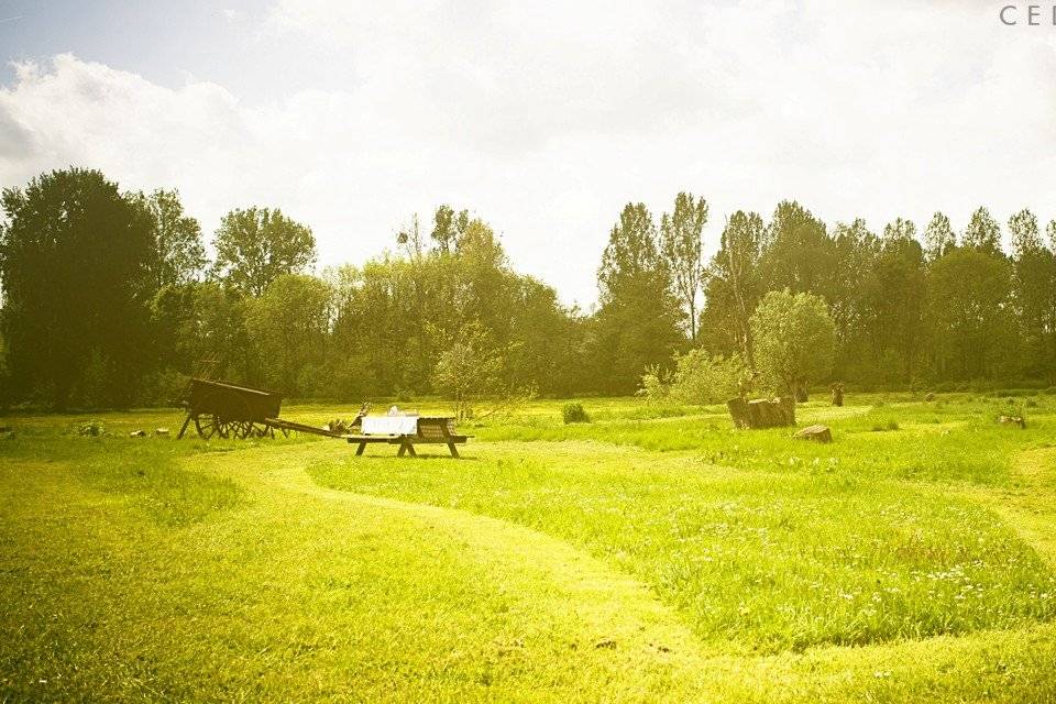 Ecrin de verdure pour photos