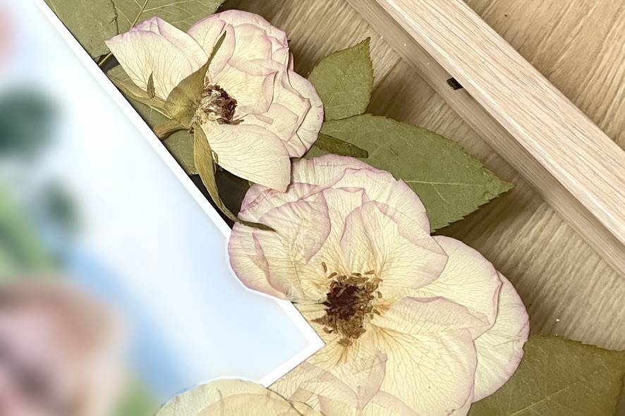 Herbier encadré evenement