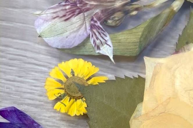 Herbier bouquet mariée encadré