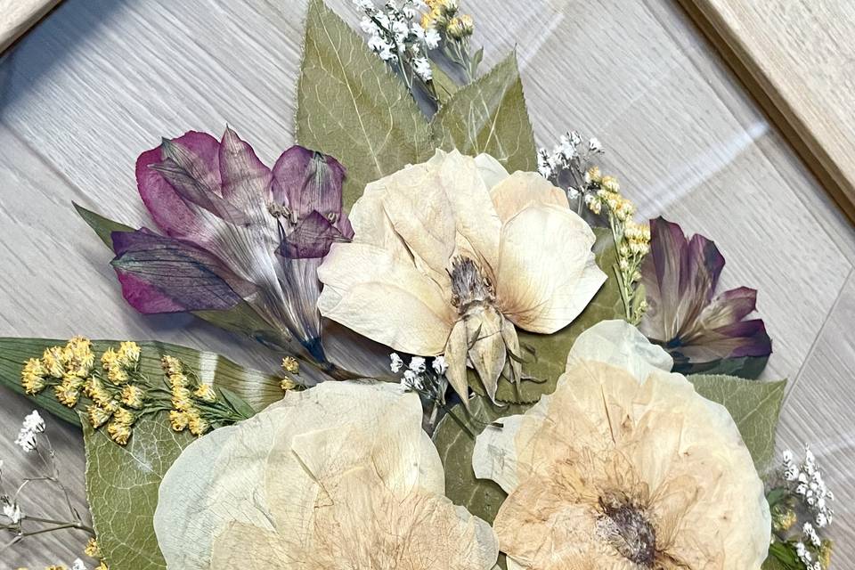 Fleurs pressées sous verre