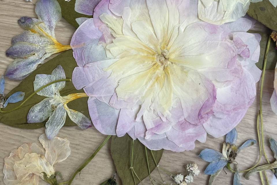 Bouquet pivoines preservé