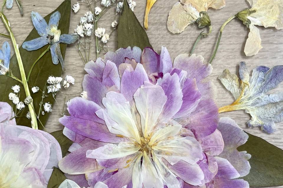 Pivoines mariage pressées