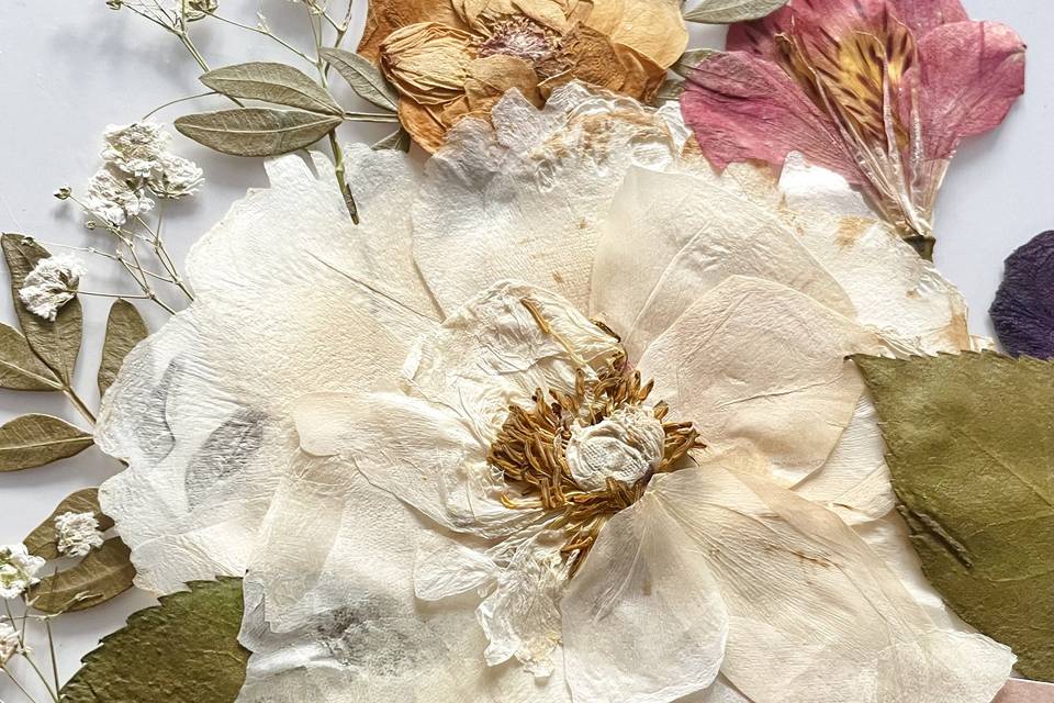 Bouquet de mariage en herbier