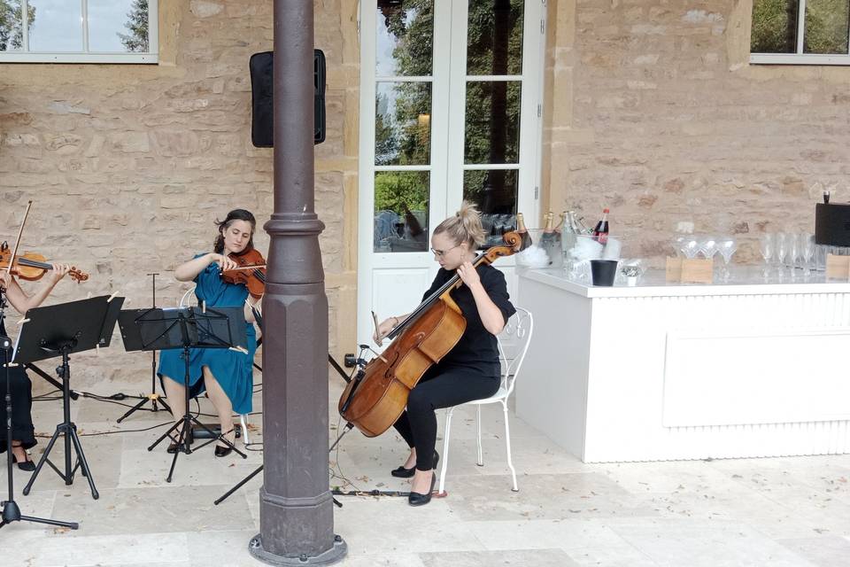 Sonorisation, cocktail
