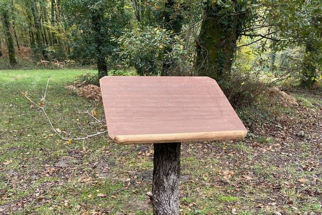 Chaises et pupitres