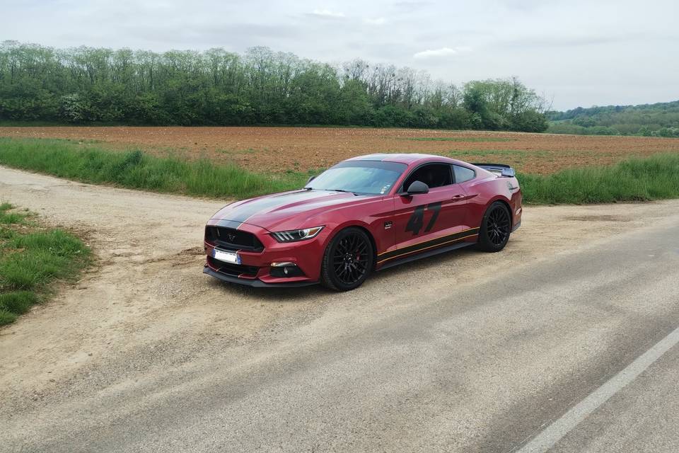 Mustang GT -v8