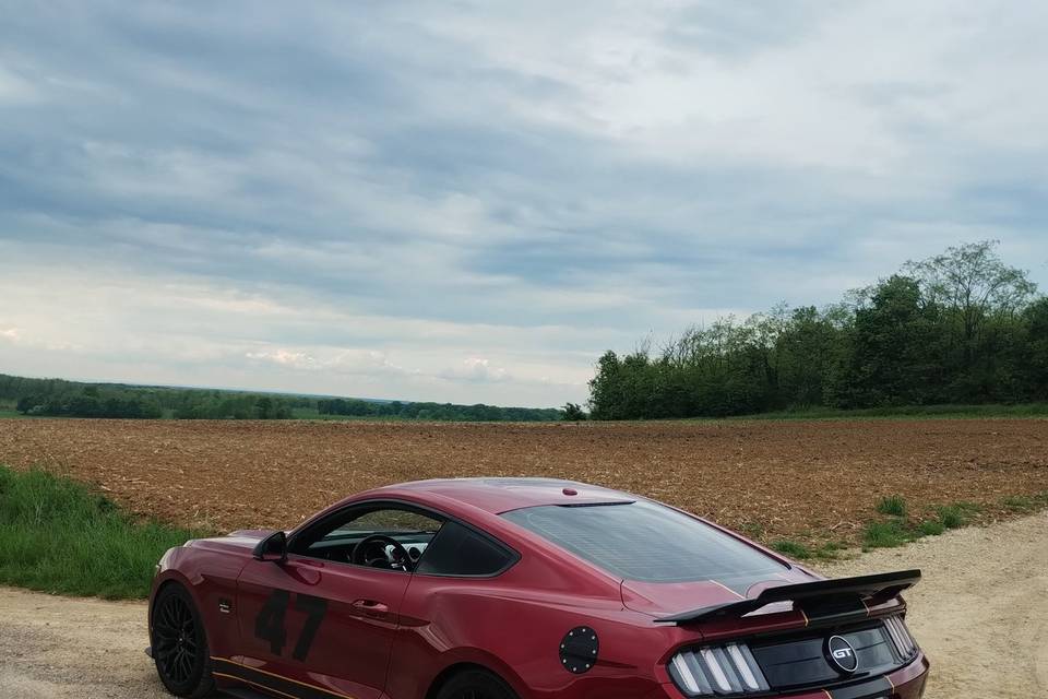 Mustang GT -v8