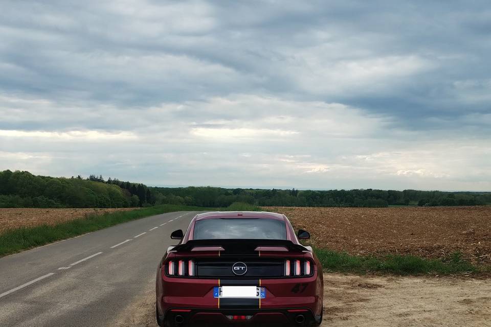Mustang GT -v8