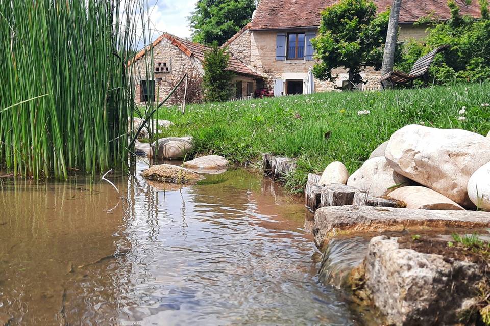 Mariage Frères VERBENA CITRODORA – Chez les Frenchies