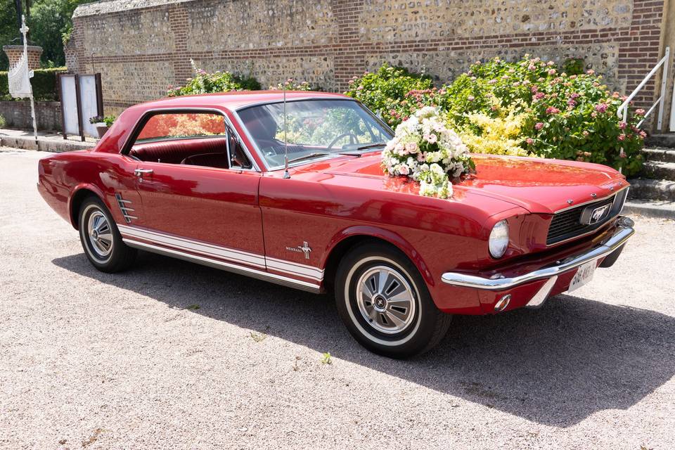 Mustang