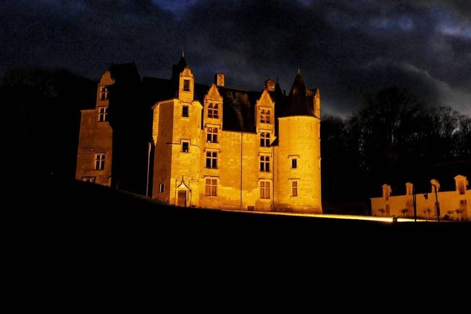 Vue nocturne du château