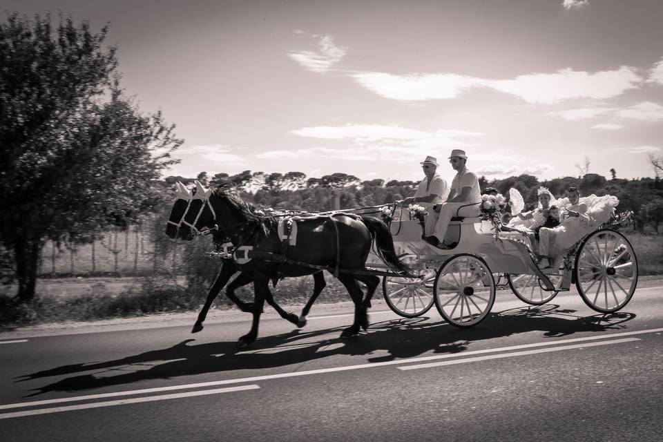 Tour de calèche