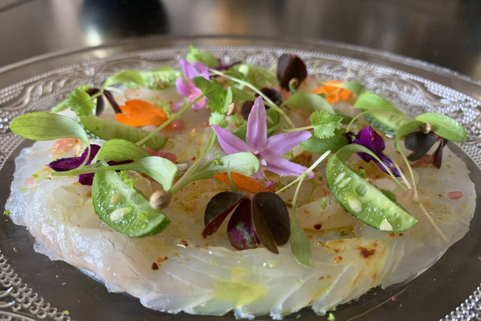 Ceviche de bar