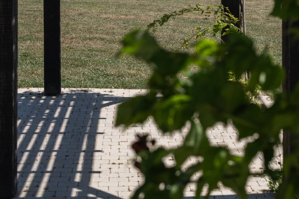 Pergola