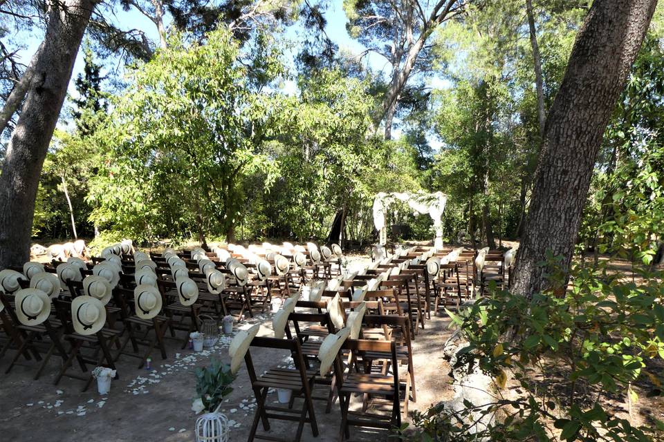 Cérémonie dans le parc des pins