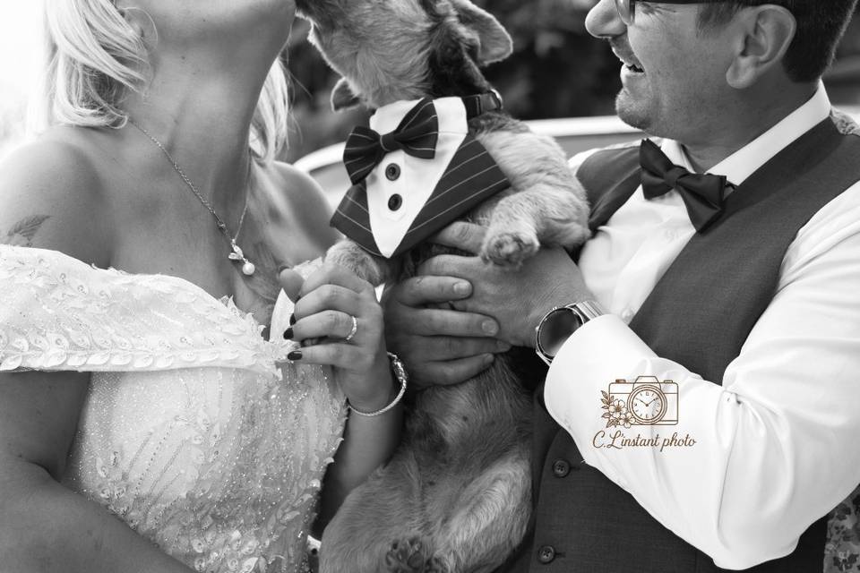 Photo avec vos animaux