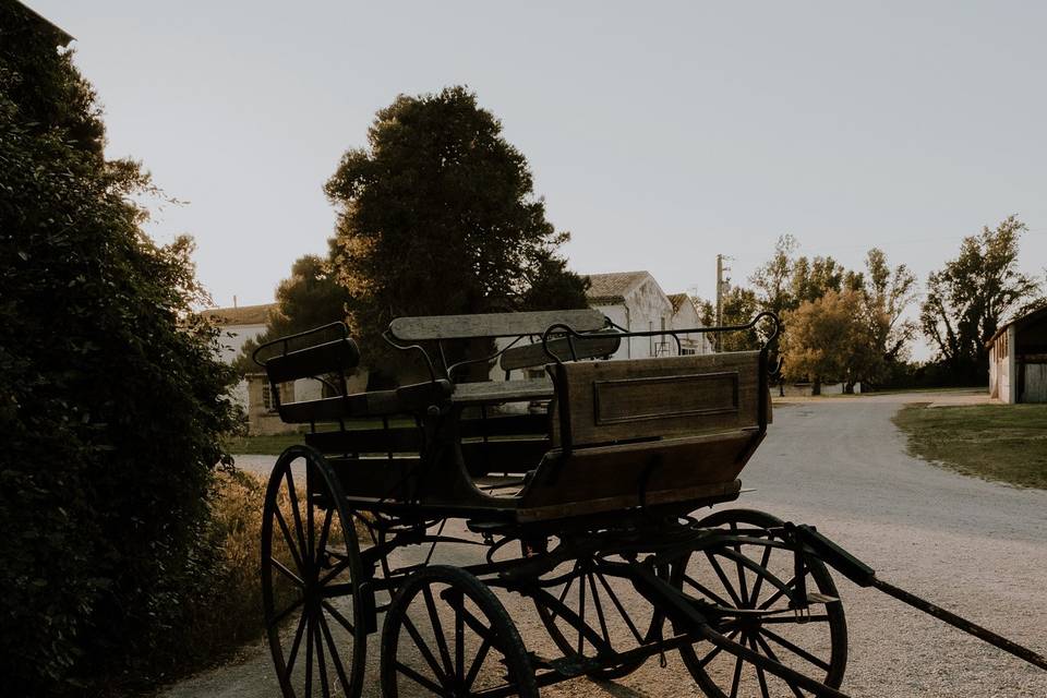 Le carrosse