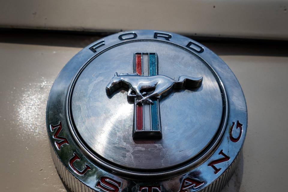 Logo arrière