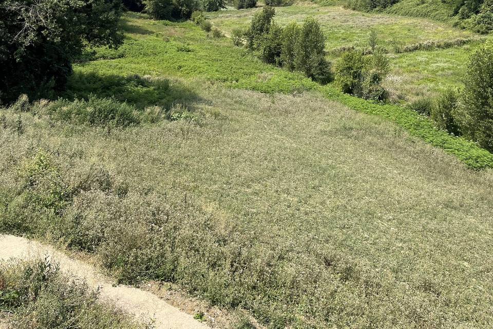 La vallée vue du parvis sud