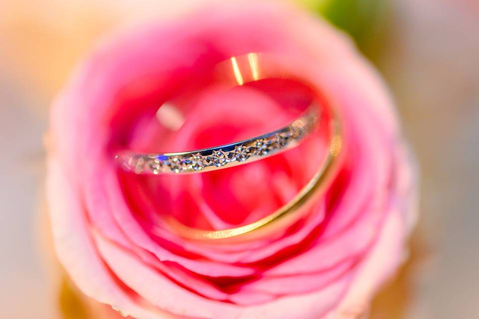 MARIAGE FEARLESS