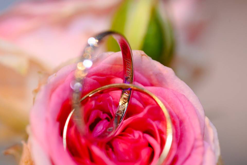 MARIAGE FEARLESS