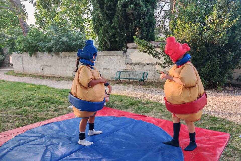 Sumo tournoi de foot Pieusse t