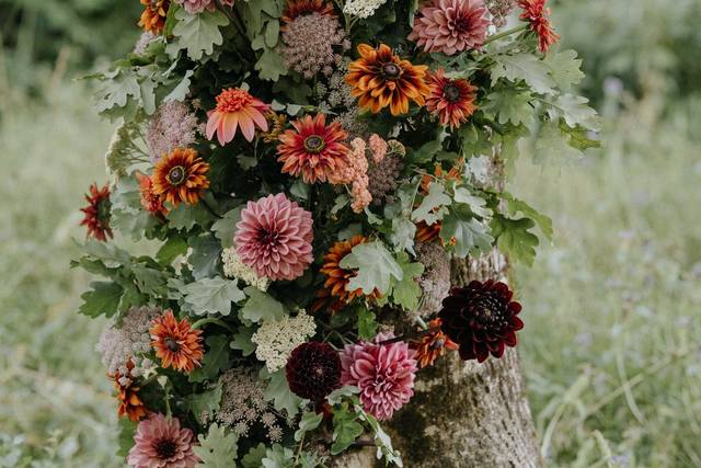 Arche florale sur un arbre