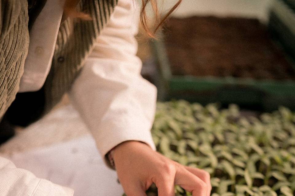 Plantation des fleurs